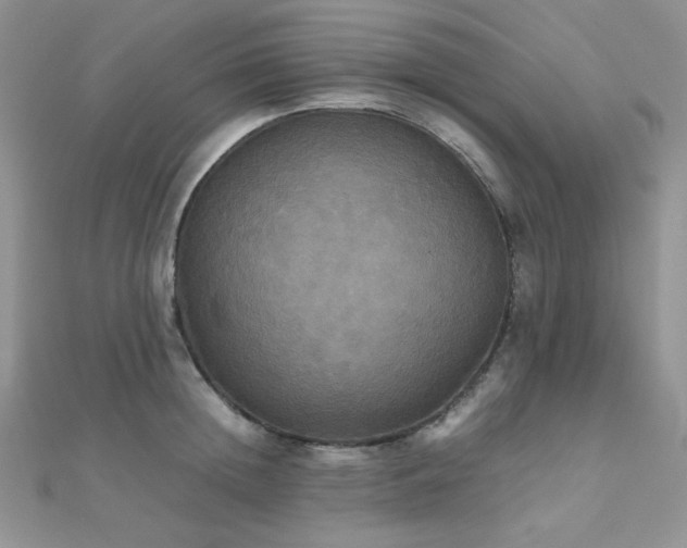 X0000112530852200908171419