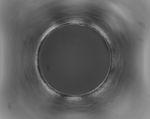 X0000112530853200908171419