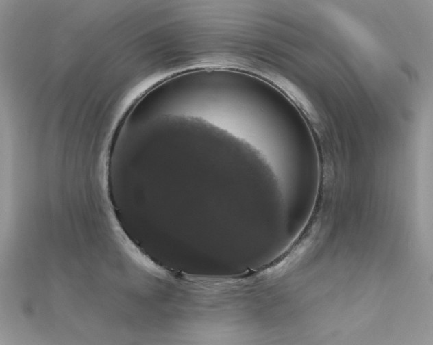 X0000112530854200908171419