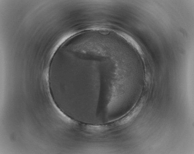 X0000112530855200908171419