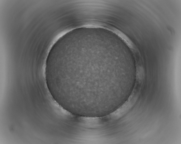 X0000112530856200908171419