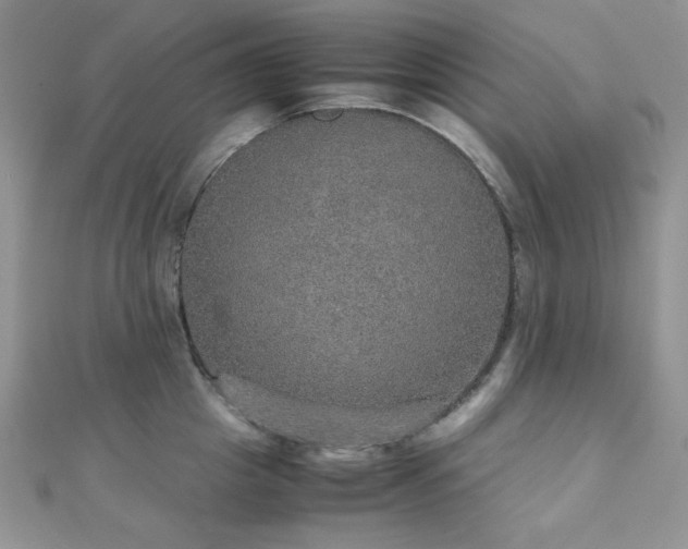 X0000112530857200908171419