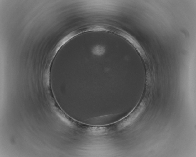 X0000112530858200908171419