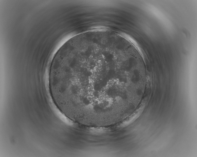 X0000112530859200908171419
