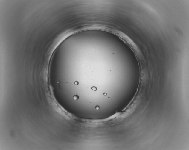 X0000112530860200908171419