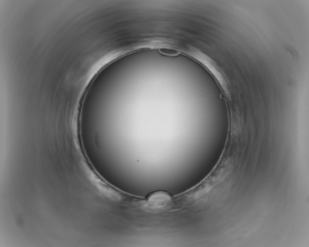 X0000112530861200908171419