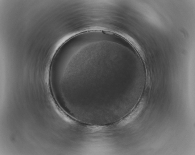 X0000112530862200908171419