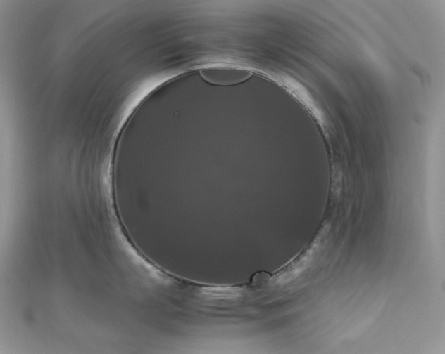 X0000112530863200908171419