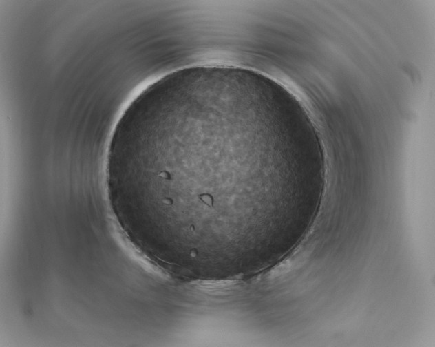 X0000112530864200908171419