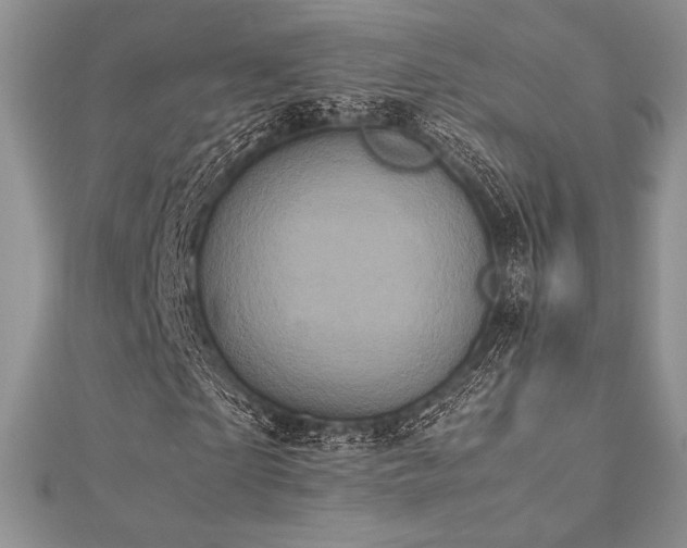 X0000112530865200908171419