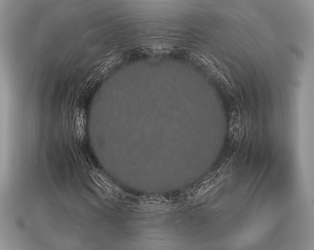 X0000112530866200908171419