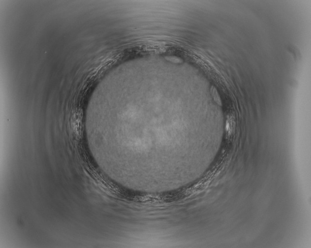 X0000112530867200908171419