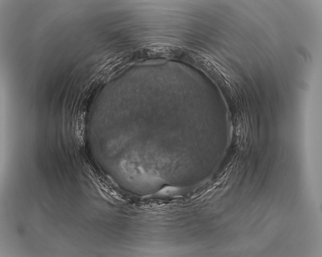 X0000112530868200908171419
