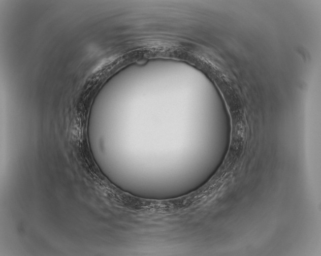 X0000112530869200908171419