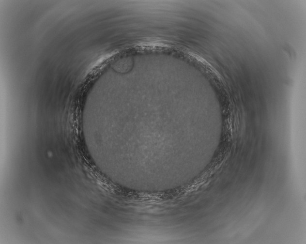 X0000112530870200908171419