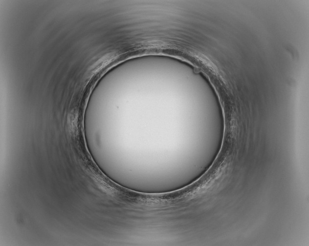X0000112530873200908171418