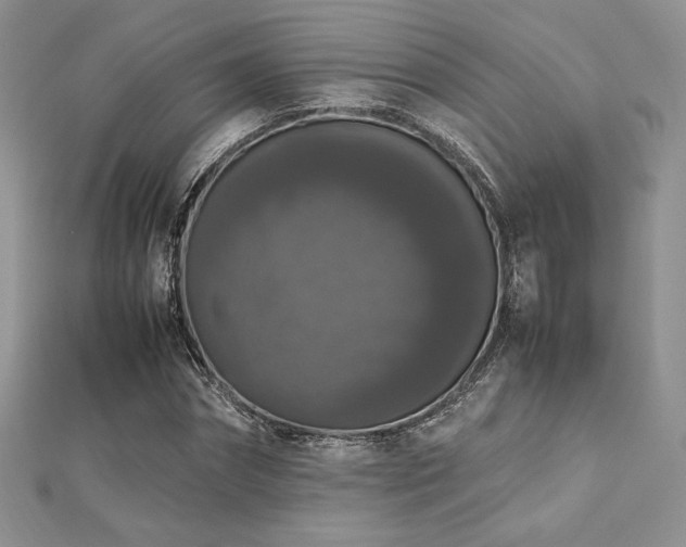 X0000112530874200908171418