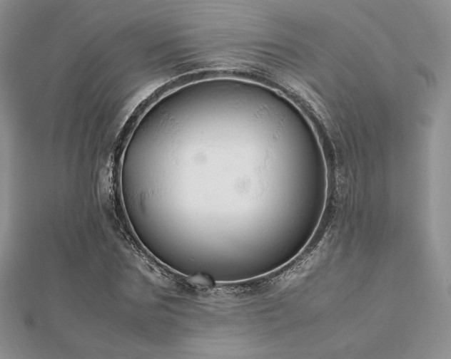 X0000112530875200908171418