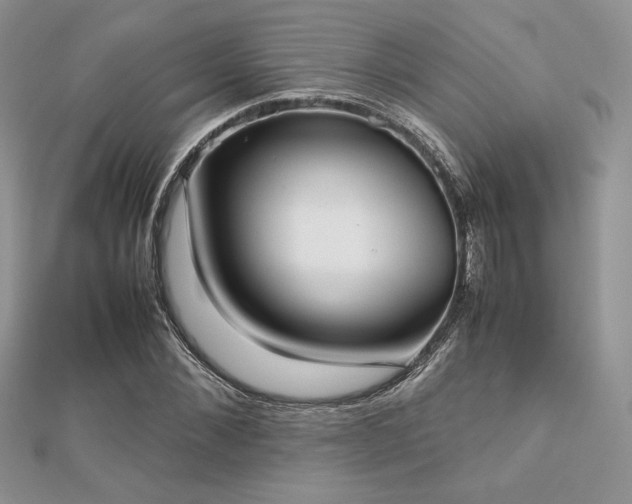 X0000112530876200908171418