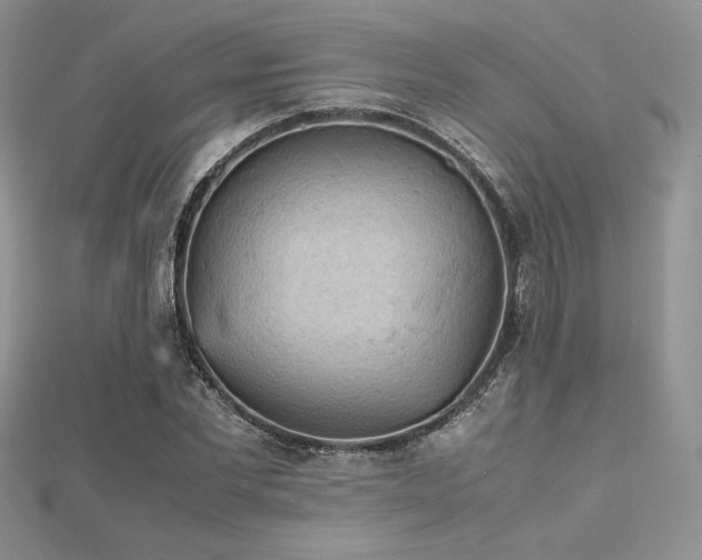 X0000112530877200908171418