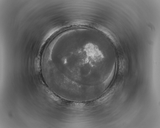 X0000112530878200908171418