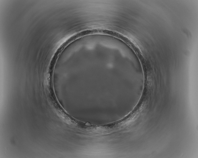 X0000112530879200908171418