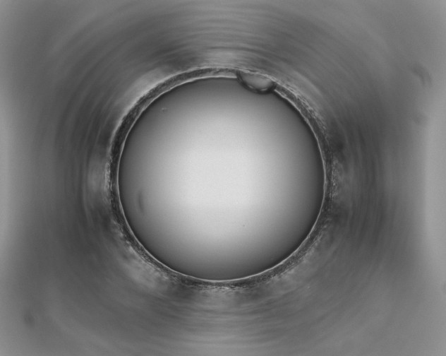 X0000112530880200908171418