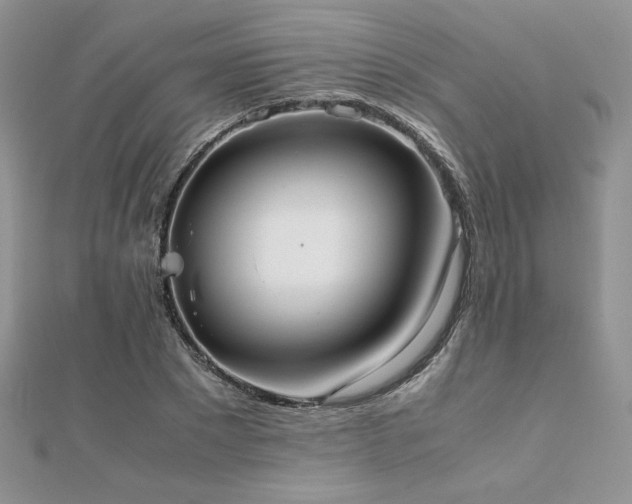 X0000112530881200908171418
