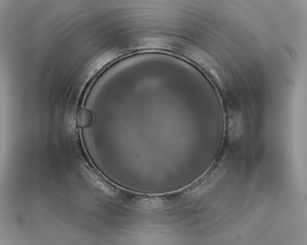 X0000112530882200908171418