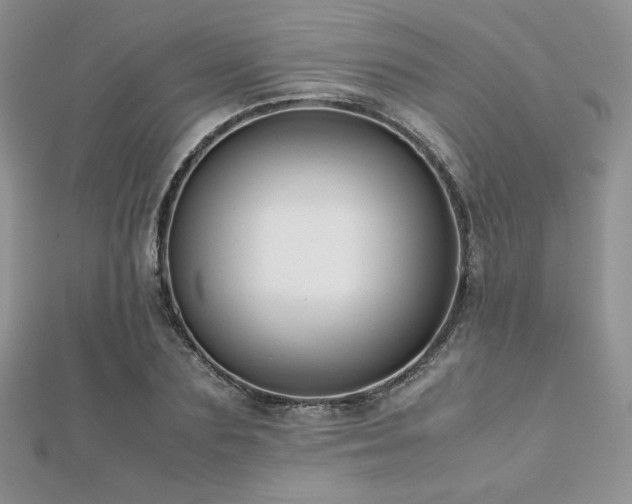 X0000112530883200908171418