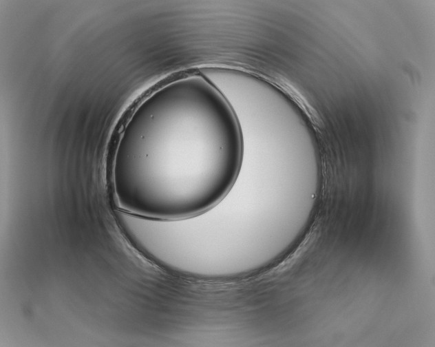 X0000112530884200908171418