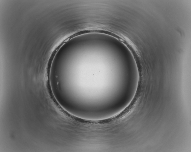X0000112530885200908171418