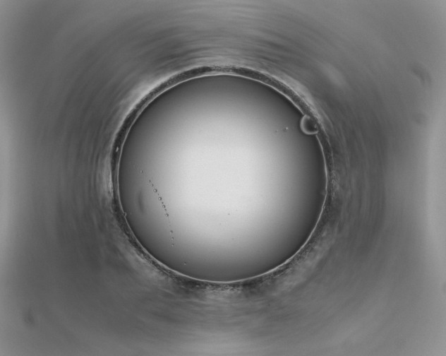 X0000112530887200908171418