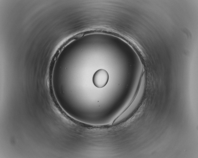 X0000112530888200908171418