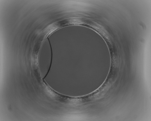 X0000112530889200908171418
