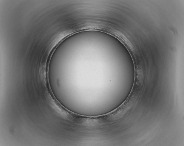 X0000112530890200908171418