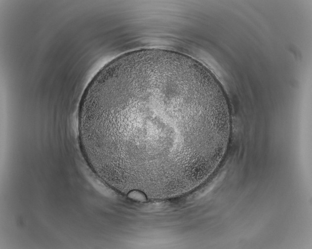 X0000112530891200908171418