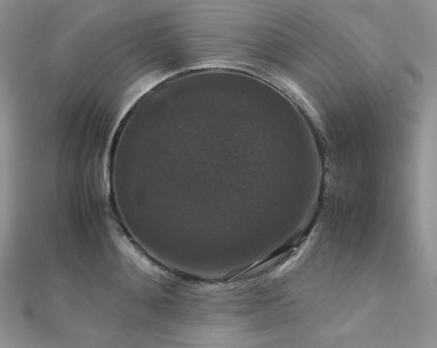 X0000112530892200908171418