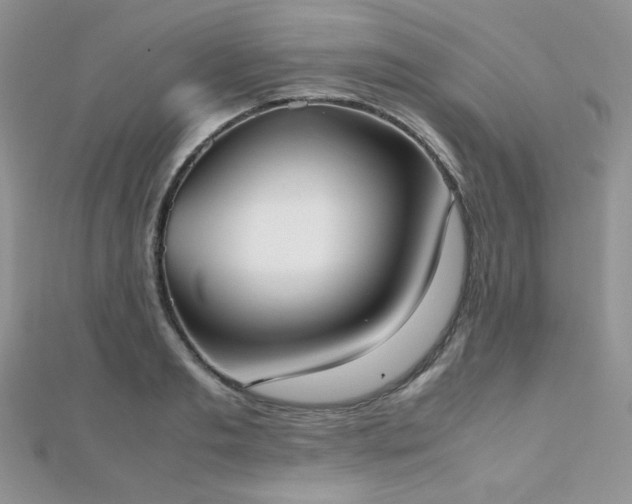 X0000112530893200908171418