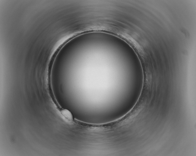 X0000112530894200908171418
