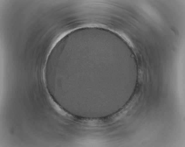 X0000112530895200908171418