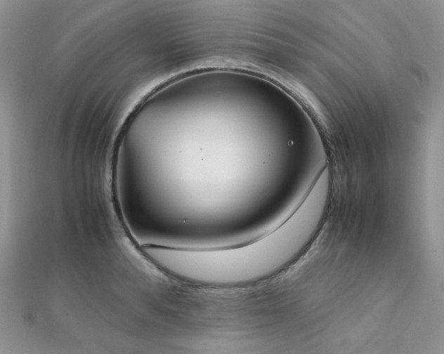 X0000112530896200908171418