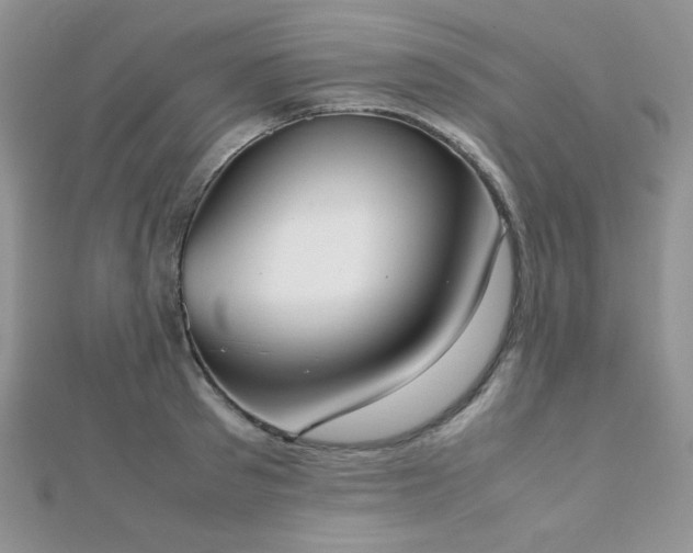 X0000112530897200908171418