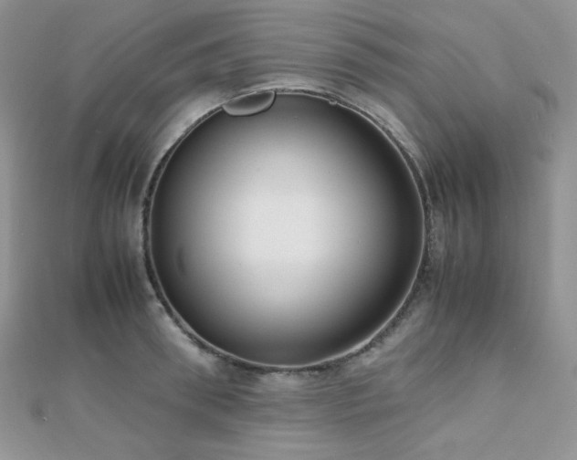 X0000112530898200908171418