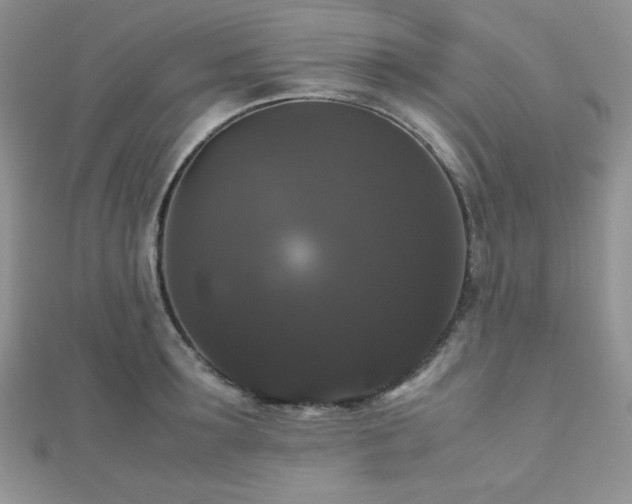 X0000112530899200908171418