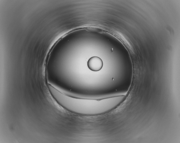 X0000112530900200908171418