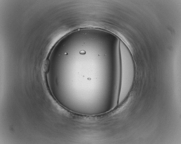X0000112530901200908171418