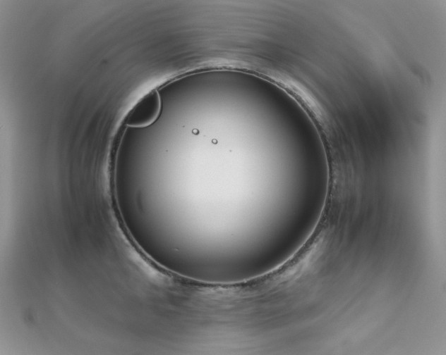 X0000112530902200908171418