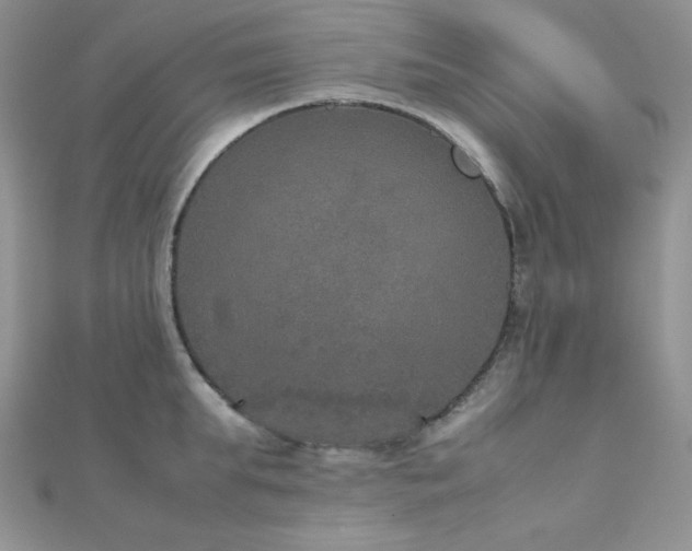 X0000112530903200908171418