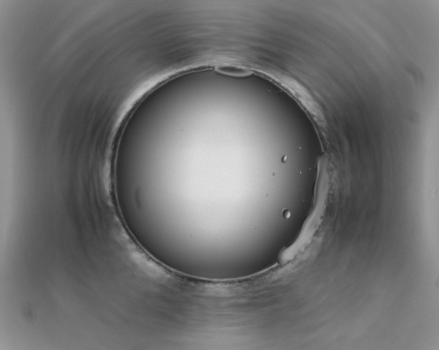 X0000112530904200908171418